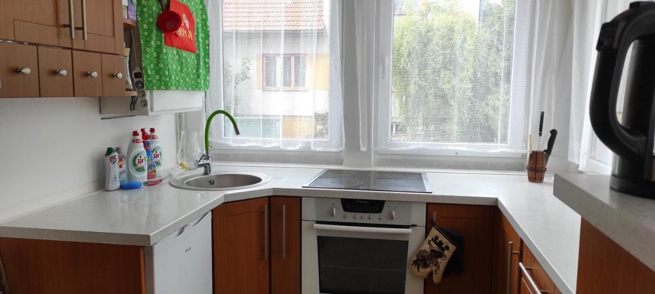 Ubytování Ostrov u Macochy Esterno foto